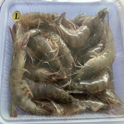 急凍生蝦-L,優利優生鮮調理食品