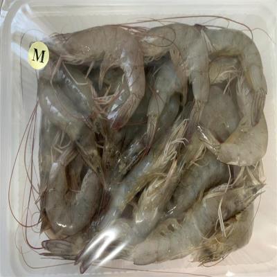 急凍生蝦-M,優利優生鮮調理食品